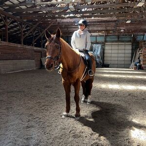 Meet your Posher, Ali